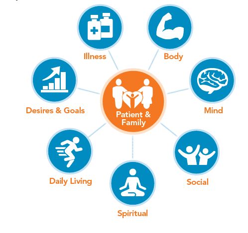 Chart of the different parts of a relationship between a patient and their family