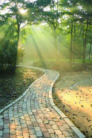 Picture of a brick-laden walk way