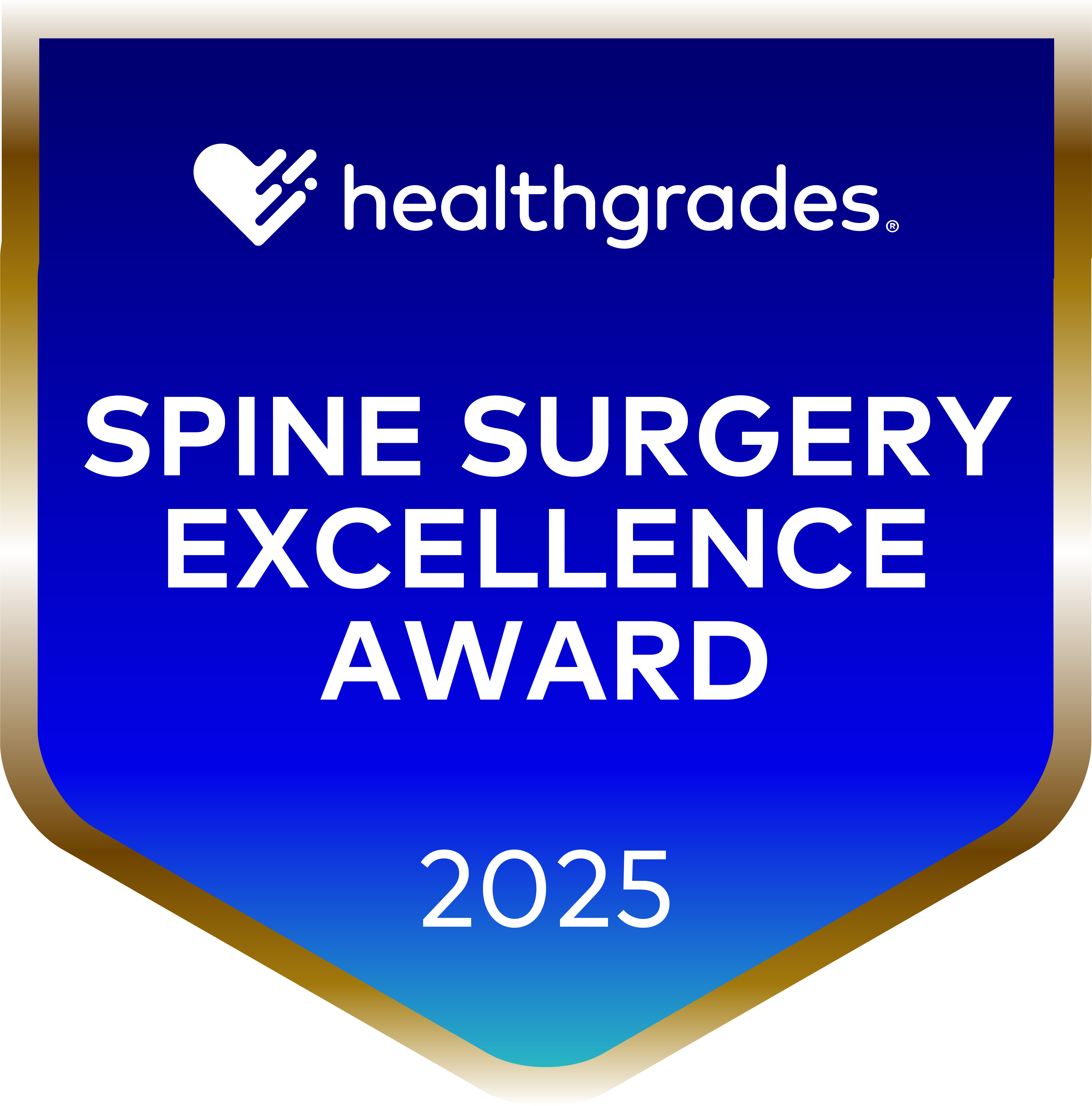 2025 Spine Surgery Excellence Award